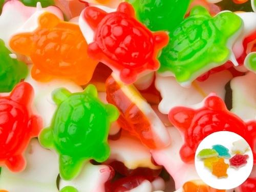 Gummy Turtles 1lb 